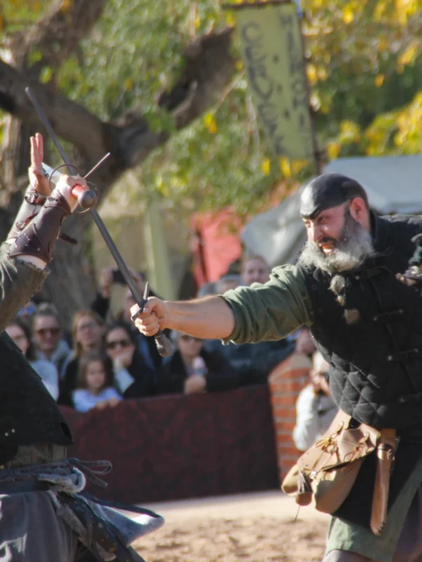 torneo medieval
