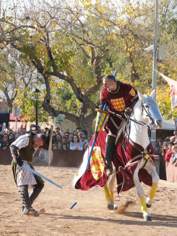 torneo medieval