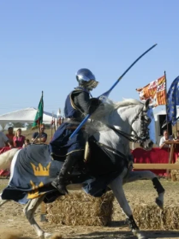 torneo medieval