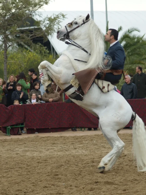 taranto