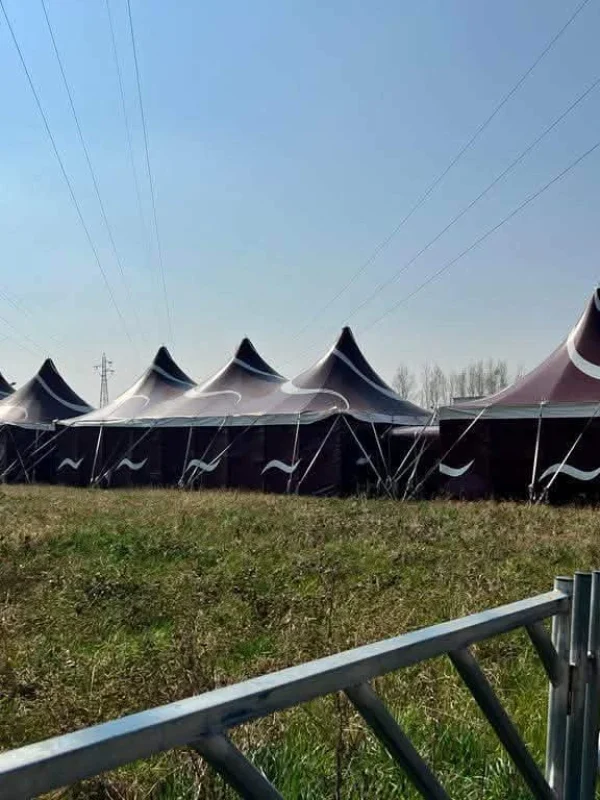 alquiler de carpas