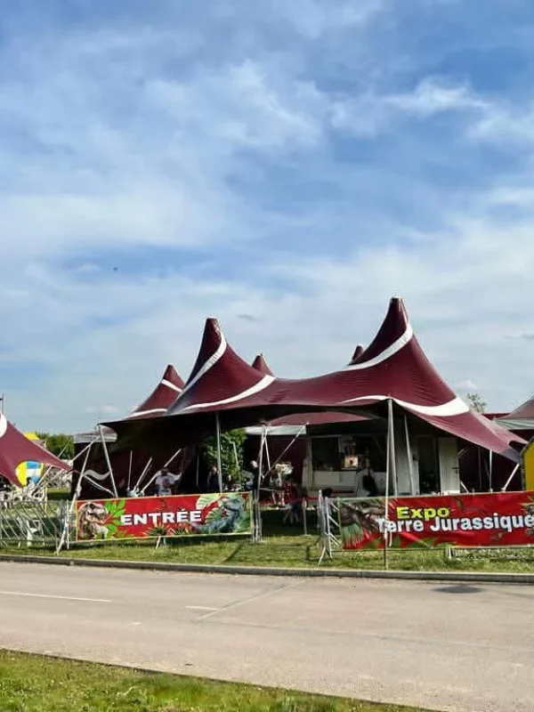 alquiler de carpas