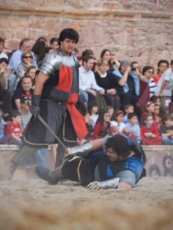 torneo medieval
