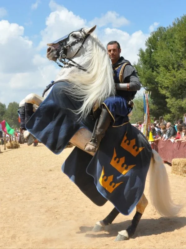 torneo medieval
